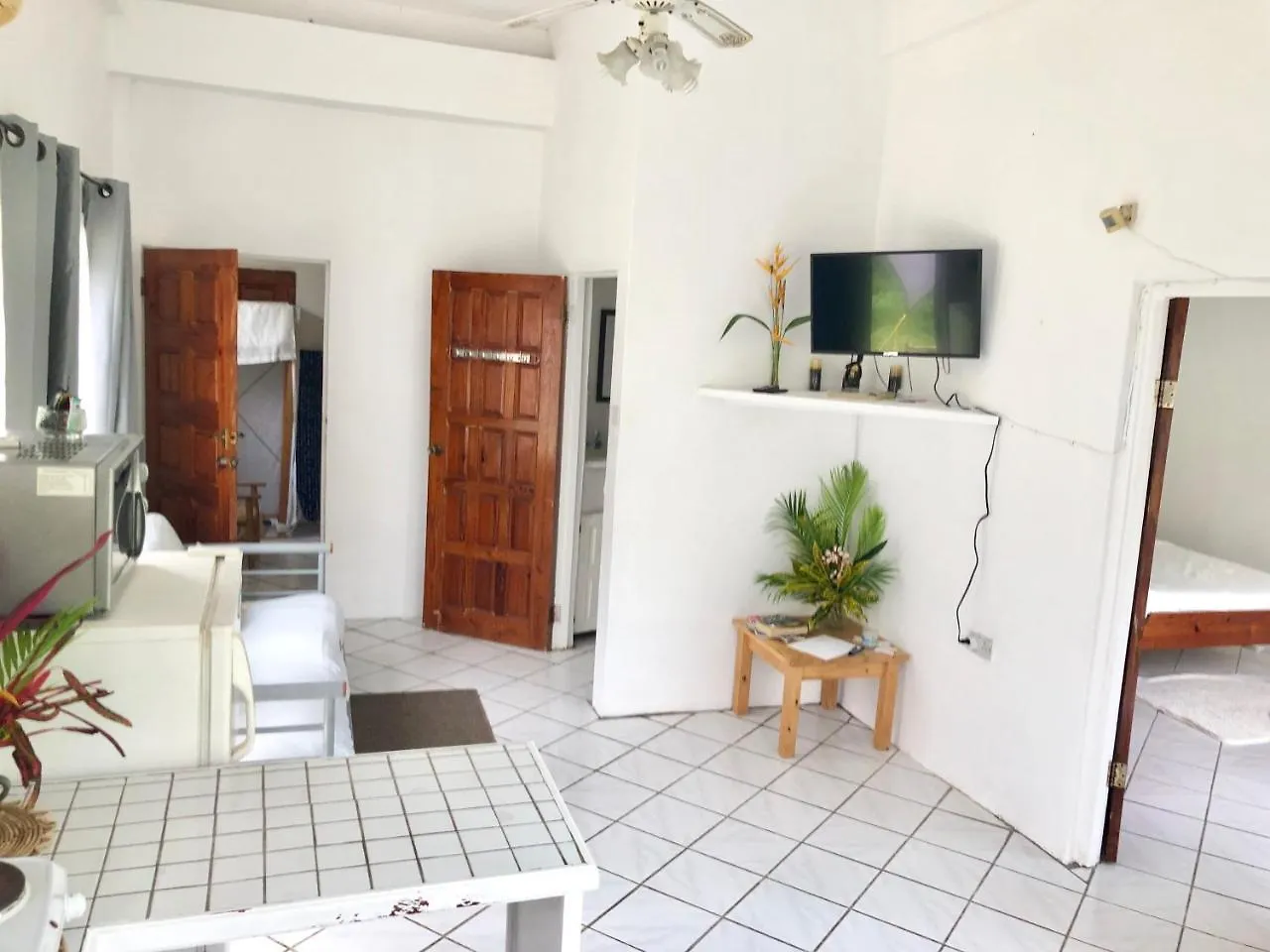 Diamondview Apartment Soufriere